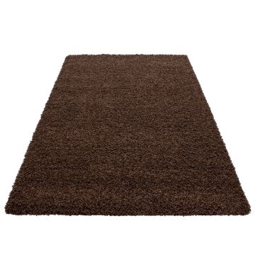Dream Shaggy alfombra pelo largo rectangular 120x170cm marrón