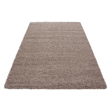 Dream Shaggy alfombra pelo largo rectangular 120x170cm beige