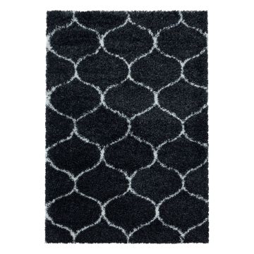 Salsa Shaggy alfombra peluda pelo largo rectangular 60x110cm antracita