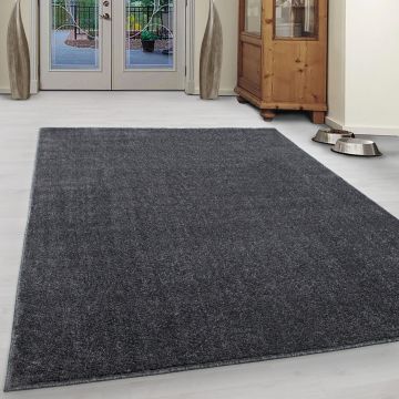 Ata alfombra pelo corto rectangular 140x200cm gris