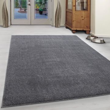 Ata alfombra pelo corto rectangular 140x200cm gris claro