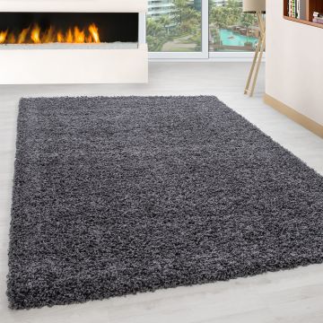 Life Shaggy alfombra pelo largo corredor 100x200cm gris