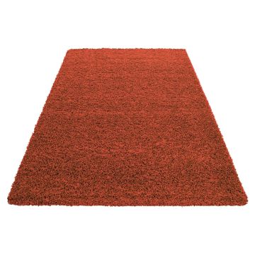 Life Shaggy alfombra pelo largo corredor 100x200cm terra