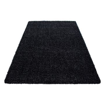 Dream Shaggy alfombra pelo largo rectangular 65x130cm antracita