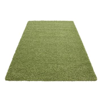 Dream Shaggy alfombra pelo largo rectangular 60x110cm verde