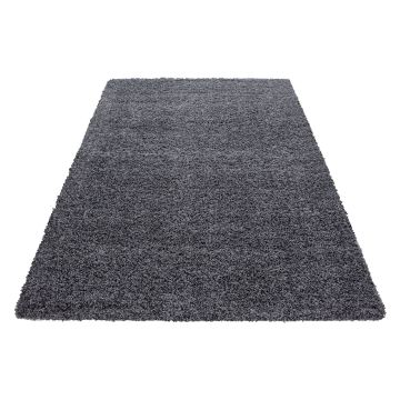 Dream Shaggy alfombra pelo largo rectangular 65x130cm gris