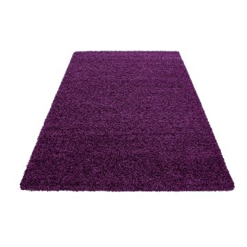 Dream Shaggy alfombra pelo largo rectangular 65x130cm morado