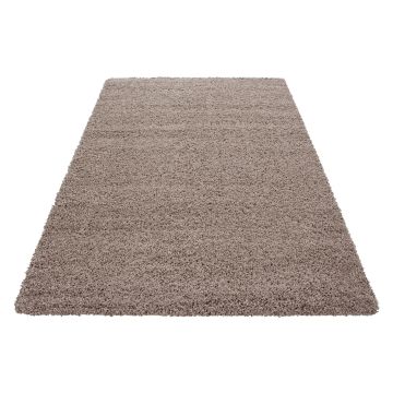 Dream Shaggy alfombra pelo largo rectangular 65x130cm beige