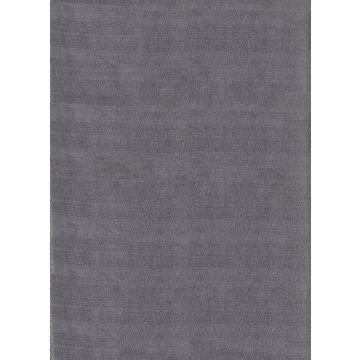 Catwalk antideslizante alfombra pelo corto rectangular 240x340cm gris