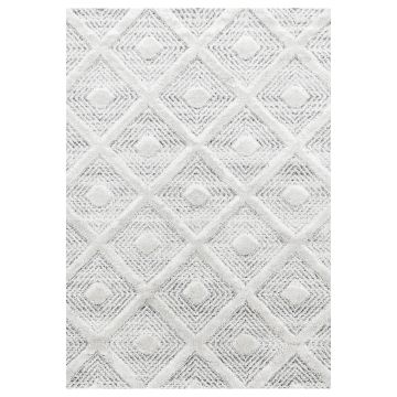 Pisa Rheng alfombra pelo largo rectangular 280x370cm gris