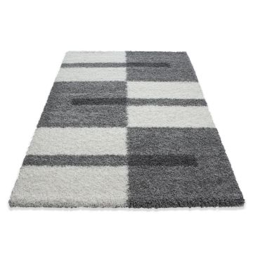 Gala Shaggy alfombra pelo largo corredor 100x200cm gris claro