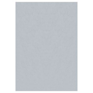 Sky alfombra pelo corto rectangular 120x170cm plata